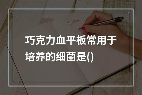 巧克力血平板常用于培养的细菌是()