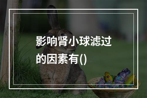 影响肾小球滤过的因素有()