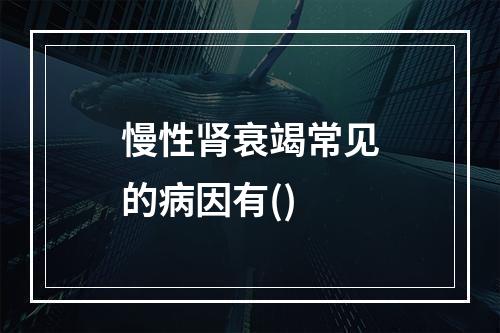 慢性肾衰竭常见的病因有()