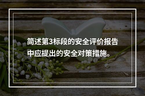 简述第3标段的安全评价报告中应提出的安全对策措施。