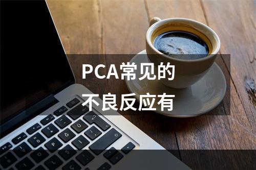 PCA常见的不良反应有