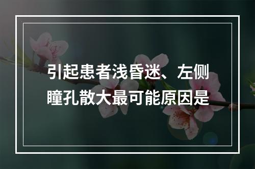 引起患者浅昏迷、左侧瞳孔散大最可能原因是