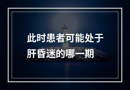 此时患者可能处于肝昏迷的哪一期