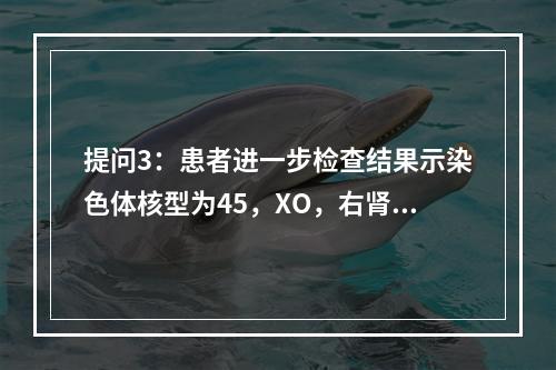 提问3：患者进一步检查结果示染色体核型为45，XO，右肾缺如