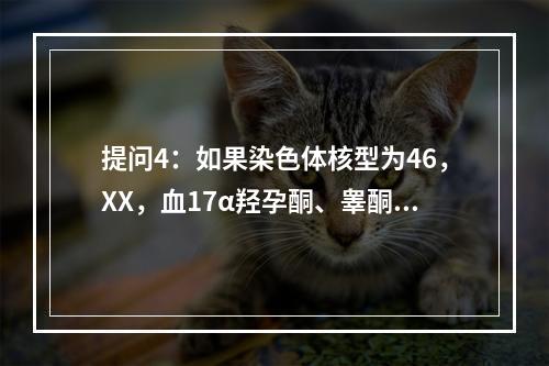 提问4：如果染色体核型为46，XX，血17α羟孕酮、睾酮、A