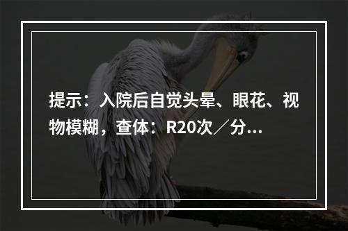 提示：入院后自觉头晕、眼花、视物模糊，查体：R20次／分，P