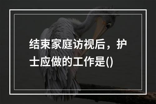 结束家庭访视后，护士应做的工作是()