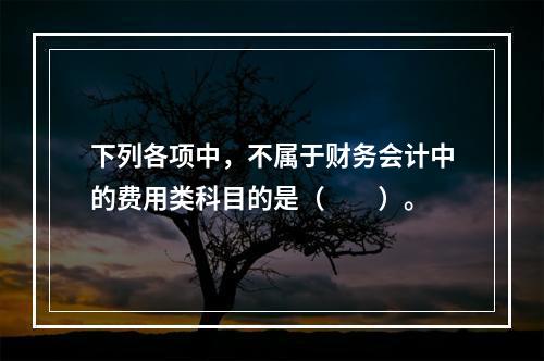 下列各项中，不属于财务会计中的费用类科目的是（　　）。