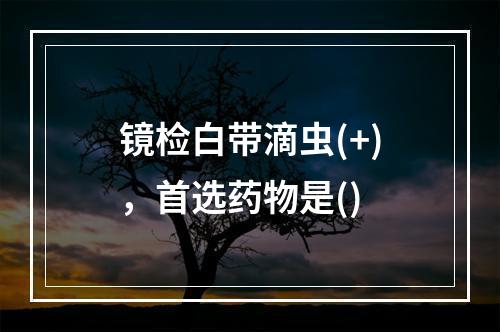 镜检白带滴虫(+)，首选药物是()