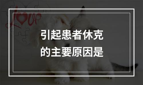 引起患者休克的主要原因是