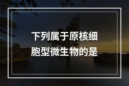 下列属于原核细胞型微生物的是