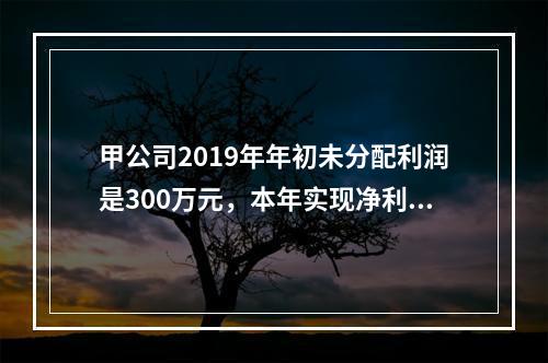 甲公司2019年年初未分配利润是300万元，本年实现净利润5