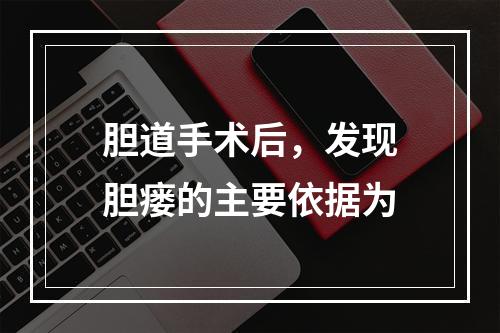 胆道手术后，发现胆瘘的主要依据为