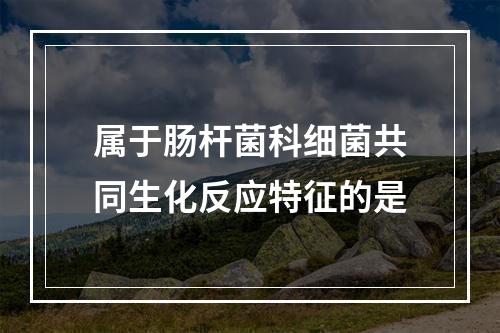 属于肠杆菌科细菌共同生化反应特征的是