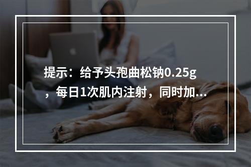 提示：给予头孢曲松钠0.25g，每日1次肌内注射，同时加用阿