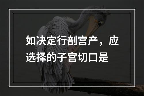 如决定行剖宫产，应选择的子宫切口是