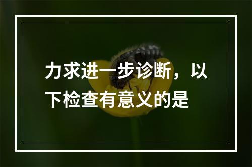 力求进一步诊断，以下检查有意义的是