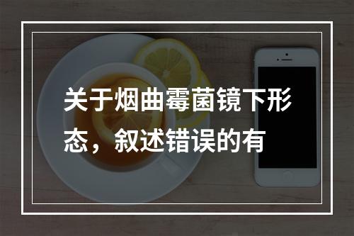 关于烟曲霉菌镜下形态，叙述错误的有