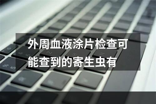 外周血液涂片检查可能查到的寄生虫有