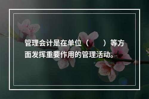 管理会计是在单位（　　）等方面发挥重要作用的管理活动。