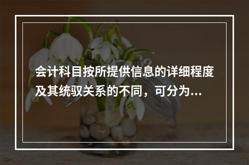 会计科目按所提供信息的详细程度及其统驭关系的不同，可分为（