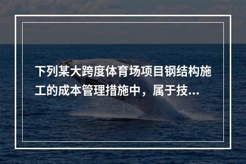 下列某大跨度体育场项目钢结构施工的成本管理措施中，属于技术措