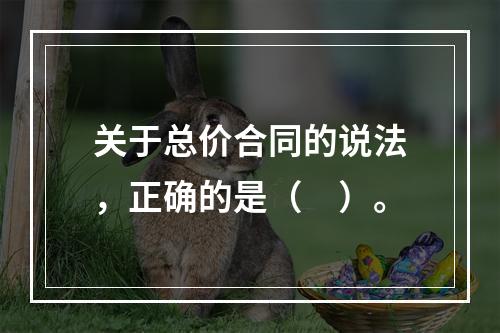 关于总价合同的说法，正确的是（　）。