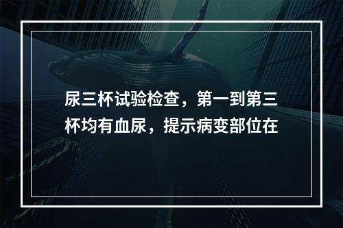 尿三杯试验检查，第一到第三杯均有血尿，提示病变部位在