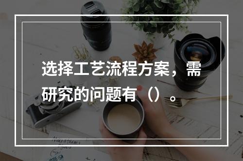 选择工艺流程方案，需研究的问题有（）。