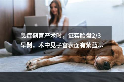 急症剖宫产术时，证实胎盘2/3早剥，术中见子宫表面有紫蓝色瘀