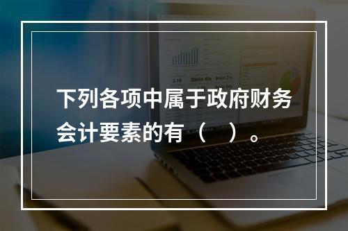 下列各项中属于政府财务会计要素的有（　）。