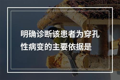 明确诊断该患者为穿孔性病变的主要依据是