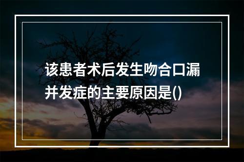 该患者术后发生吻合口漏并发症的主要原因是()