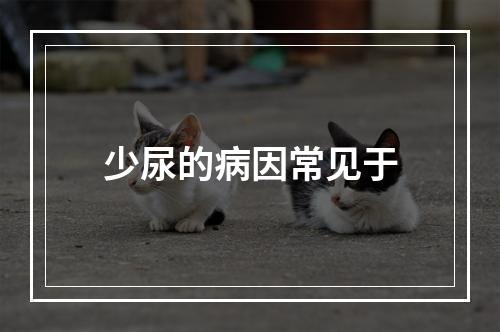 少尿的病因常见于