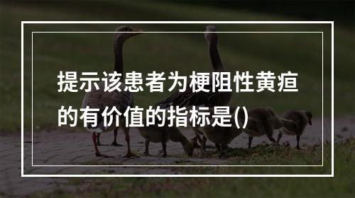 提示该患者为梗阻性黄疸的有价值的指标是()