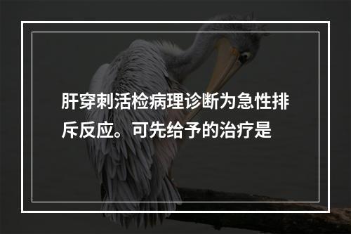 肝穿刺活检病理诊断为急性排斥反应。可先给予的治疗是