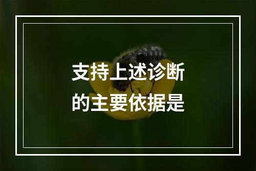 支持上述诊断的主要依据是