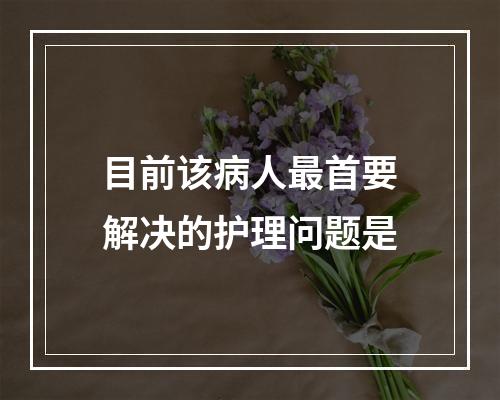 目前该病人最首要解决的护理问题是