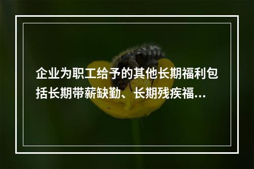 企业为职工给予的其他长期福利包括长期带薪缺勤、长期残疾福利、