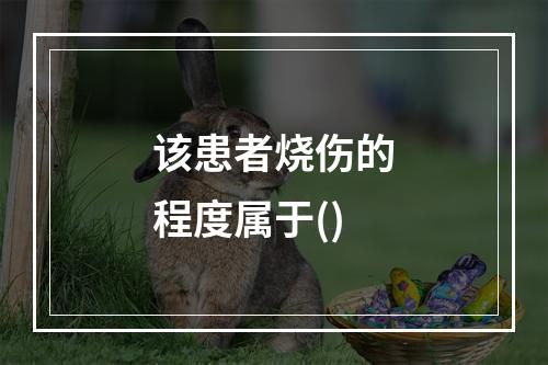 该患者烧伤的程度属于()