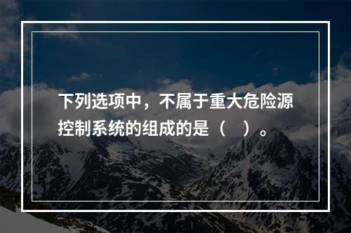 下列选项中，不属于重大危险源控制系统的组成的是（　）。