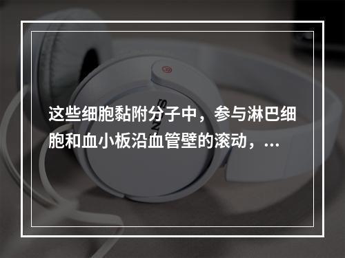 这些细胞黏附分子中，参与淋巴细胞和血小板沿血管壁的滚动，从而