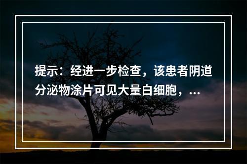 提示：经进一步检查，该患者阴道分泌物涂片可见大量白细胞，确诊