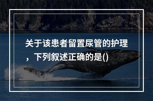 关于该患者留置尿管的护理，下列叙述正确的是()