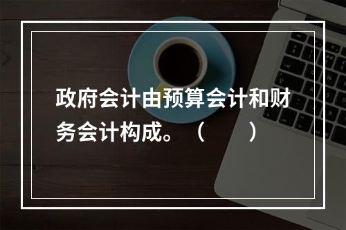 政府会计由预算会计和财务会计构成。（　　）