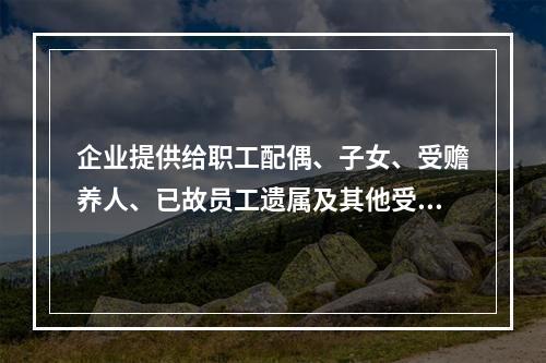 企业提供给职工配偶、子女、受赡养人、已故员工遗属及其他受益人