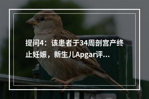 提问4：该患者于34周剖宫产终止妊娠，新生儿Apgar评分；