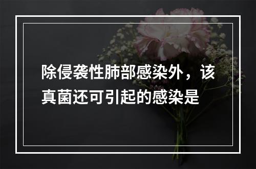 除侵袭性肺部感染外，该真菌还可引起的感染是