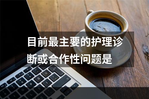 目前最主要的护理诊断或合作性问题是