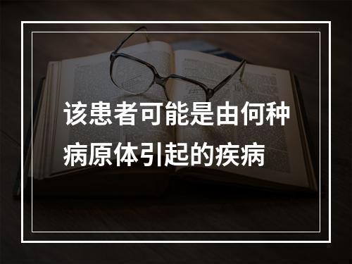 该患者可能是由何种病原体引起的疾病